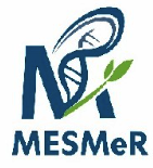 MESMeR &mdash; MES Centre for Medical Research